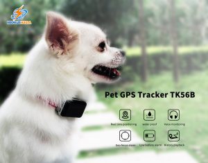 dog GPS tracker